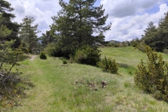 Circuit des colettes, Randonnée dans le 04, Soleilhas, Terres d'émotions, Le teillon, Vallée de l'estéron