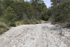 Circuit des colettes, Randonnée dans le 04, Soleilhas, Terres d'émotions, Le teillon, Vallée de l'estéron