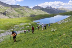 Lac de Pelouse, Col de la Bonette, Parc du Mercantour, terres d'émotions, Randonnée dans le 06