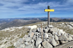 Le Teillon, Haut Estéron, Lac de Castillon, Terres d'émotions, Randonnée dan sle 04. Peyroules