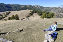 Brame du Cerf, Terres d'émotions, randonnée dans le 06, Bivouac Nature, Belle étoile