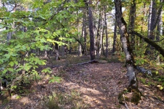 Annot, Le  Fugeret, Châtaignes, Forêts, sentiers médiévales, Chapelles, Histoires anciennes, Terres d'émotions, Randonnée dans le 04