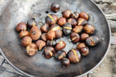 Annot, Le  Fugeret, Châtaignes, Forêts, sentiers médiévales, Chapelles, Histoires anciennes, Terres d'émotions, Randonnée dans le 04