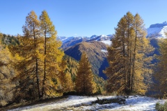 Terres d'émotions, Roya , Tinée, Couleurs d'automne, Sommets enneigés, estives de montagnes, randonnée dans le 06