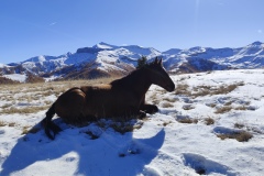 Terres d'émotions, Roya , Tinée, Couleurs d'automne, Sommets enneigés, estives de montagnes, randonnée dans le 06