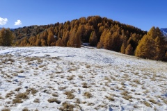 Terres d'émotions, Roya , Tinée, Couleurs d'automne, Sommets enneigés, estives de montagnes, randonnée dans le 06