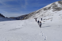 Plateau de Longon, Vignols, Mercantour, Roubion, Terres d'émotions, randonnée dans le 06