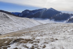 Plateau de Longon, Vignols, Mercantour, Roubion, Terres d'émotions, randonnée dans le 06