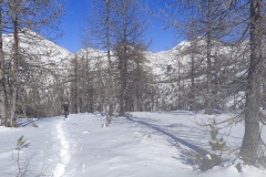 Lacs des Adus, col de Salèse, Le Boréon, Neige poudreuse, terres d'émotions, randonnée dans le 06