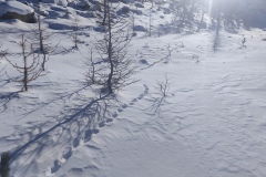 Lacs des Adus, col de Salèse, Le Boréon, Neige poudreuse, terres d'émotions, randonnée dans le 06