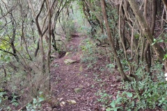 Esterel, Mont St Martin, Terres d'émotions, Randonnée dans le 06