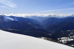 IMG_20260201_110717-scaled