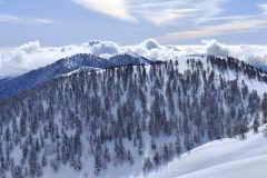 IMG_20260201_120729-scaled