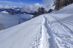 IMG_20260201_130908-scaled