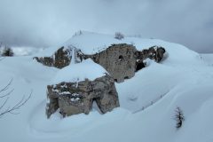 IMG_20260201_134351-scaled