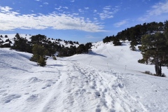 Terres d'émotions, l'Audibergue, Vue Mer, Randonnée dans le 06