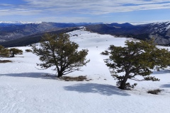 Terres d'émotions, l'Audibergue, Vue Mer, Randonnée dans le 06