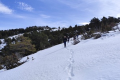 Terres d'émotions, l'Audibergue, Vue Mer, Randonnée dans le 06