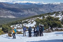 Terres d'émotions, l'Audibergue, Vue Mer, Randonnée dans le 06