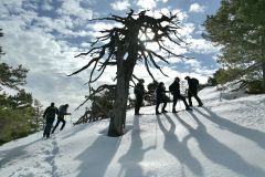 Terres d'émotions, l'Audibergue, Vue Mer, Randonnée dans le 06
