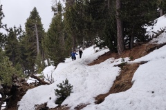 IMG_20260301_120255