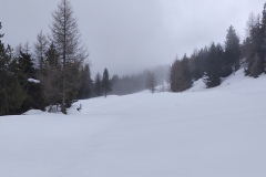 IMG_20260301_121801