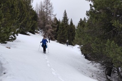 IMG_20260301_122602