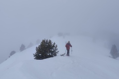 IMG_20260301_123819