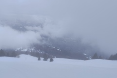 IMG_20260301_123821