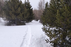 IMG_20260301_134844