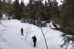 IMG_20260301_141904