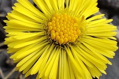 IMG_20260308_145452
