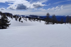 IMG_20260329_111220