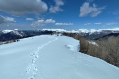IMG_20260329_114414