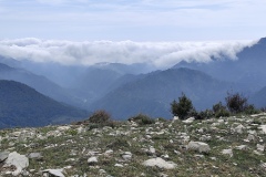 IMG_20260419_114528