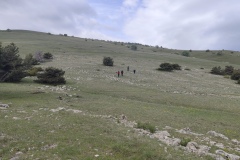 IMG_20260510_091537