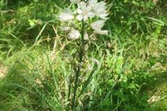IMG_20260524_105451