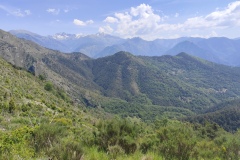 IMG_20260524_120706
