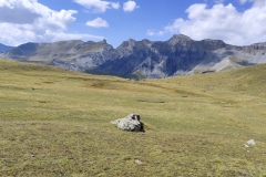 IMG_20260823_144128