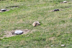 IMG_20260823_155720
