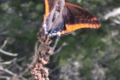 IMG_20261004_112930
