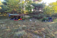 IMG_20261011_084046