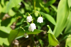 Yourte Entraunes, Oustamura, Lacs de l'estrop, Roche Grande, Col des trentes souches, Terres d'émotions, Randonnée dans le 06
