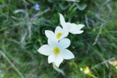 Yourte Entraunes, Oustamura, Lacs de l'estrop, Roche Grande, Col des trentes souches, Terres d'émotions, Randonnée dans le 06
